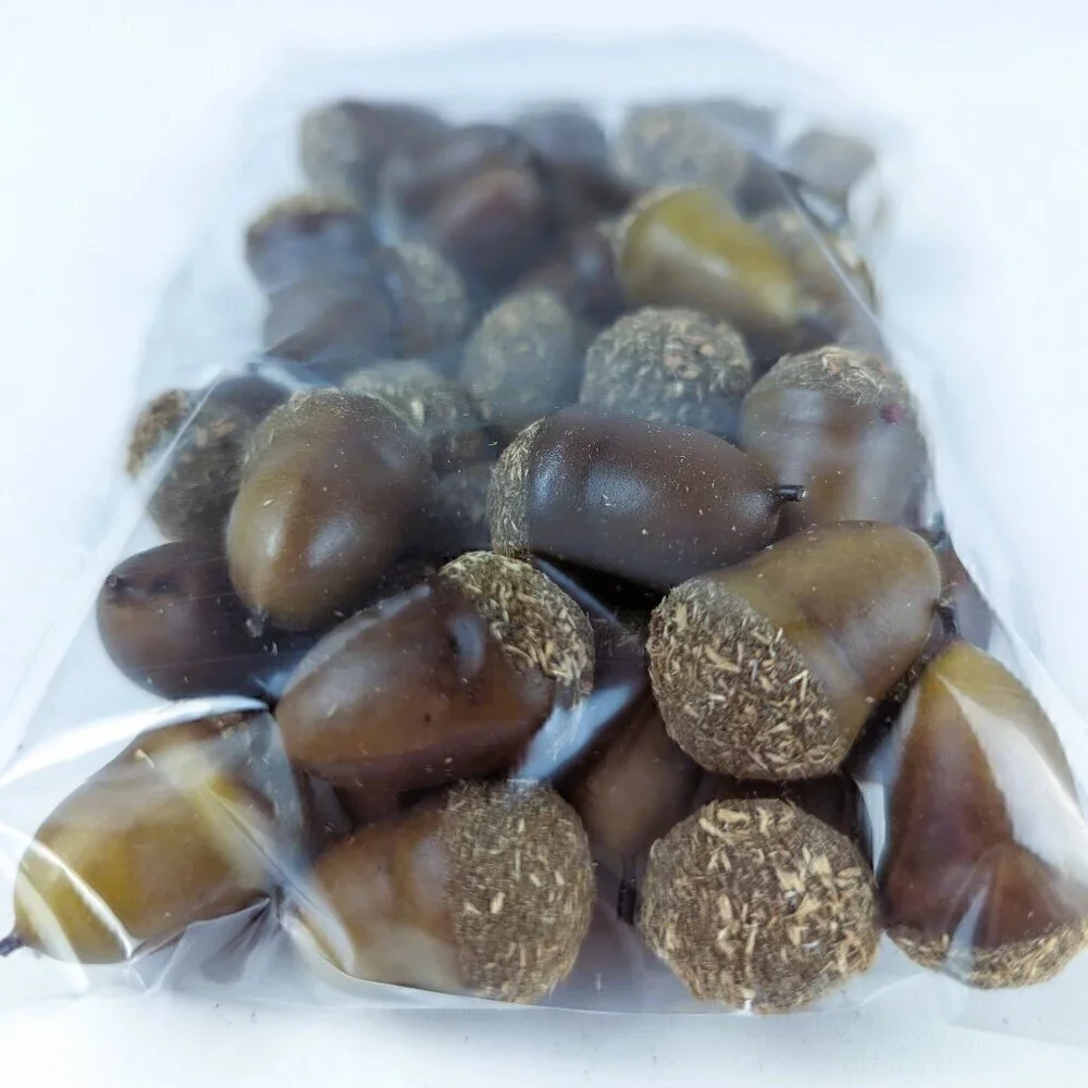 Faux Acorns for Crafting